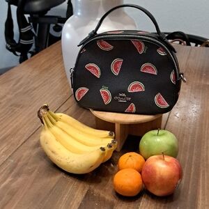 Coach Serena Satchel with Watermelon Print 🍉🍉🍉summer